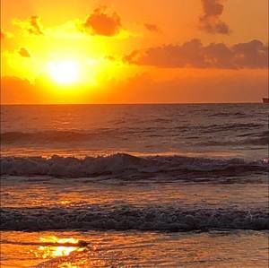 Meet your Posher, C.r.